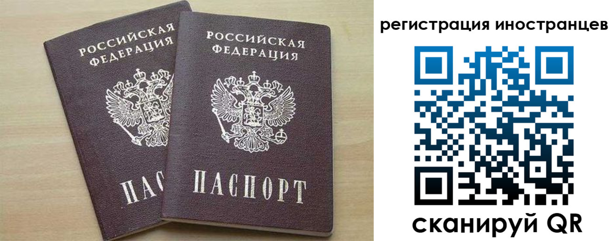 временная регистрация 2025 в Курской области