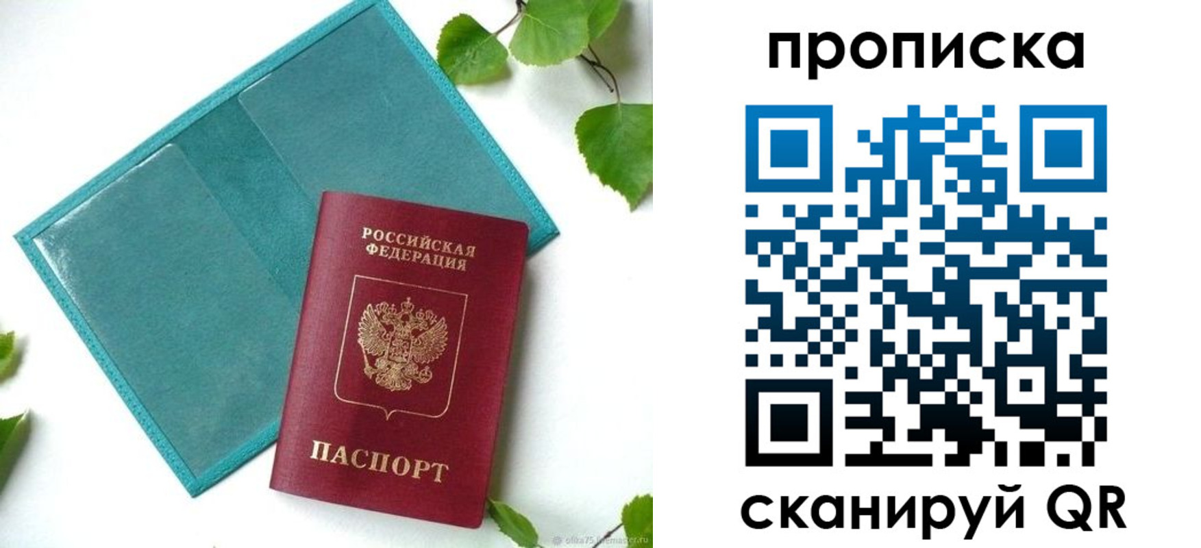 прописка штамп в Курской области